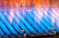 Gartymore gas fired boilers